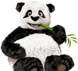 Tiny PNG