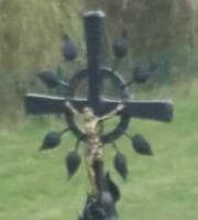 Lietuviškas kryžius su raidos skrietu Daugų kapinėse